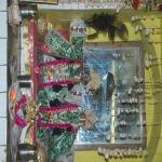 Vraj-Yatra-2014- (1368)